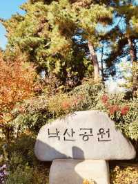 Spring's Hilltop Haven: Naksan's Serene Escape