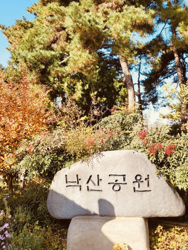 Spring's Hilltop Haven: Naksan's Serene Escape