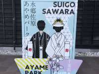 今からの季節がとっても楽しみ🤗