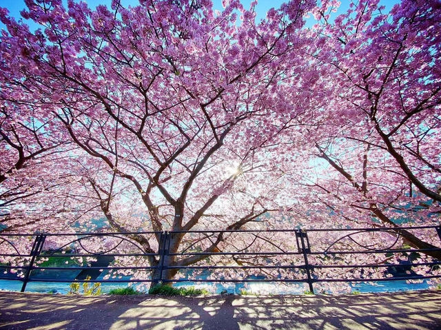 The prettiest season of all 