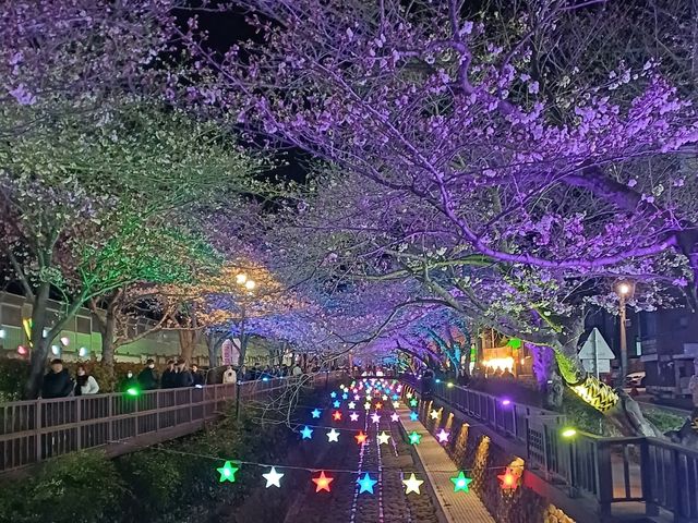 Korea's largest Spring Festival