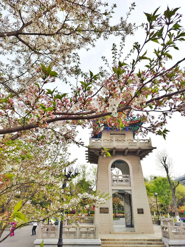 Zhanyuan Garden: Nanjing’s Classical Oasis