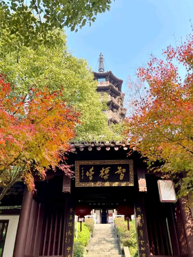 Dongshan Park: A Serene City Escape