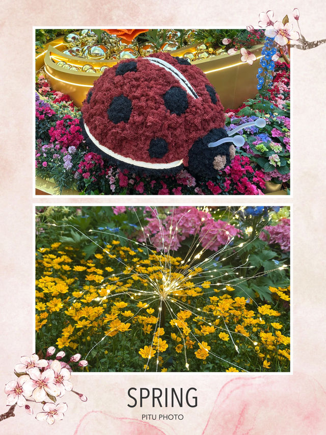 美高梅春季植物園開幕🎊🏃‍♂️‍➡️