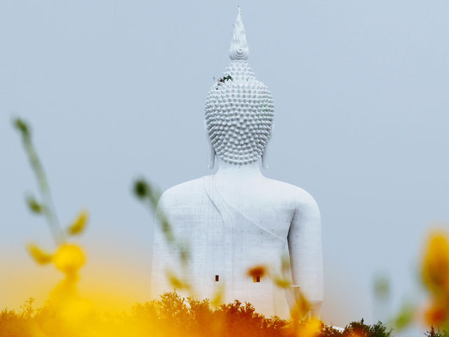 วัดม่วง อ่างทอง