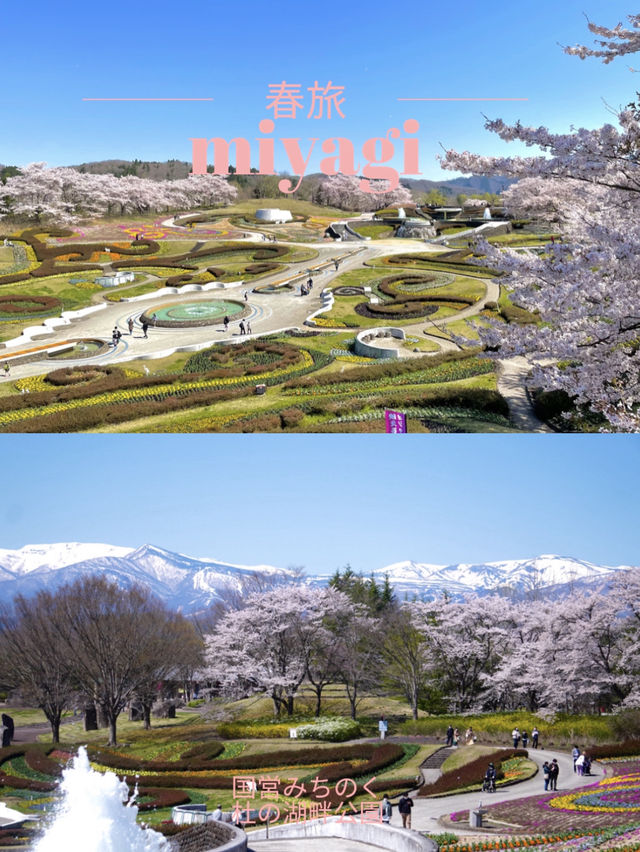 【宮城×春旅】 桜、チューリップ、雪山、青空のの絶景スポット