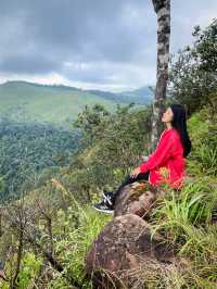 ริมผาภูสอยดาว
