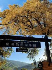 Best Autumn Spots in Huzhou 🍂🍁