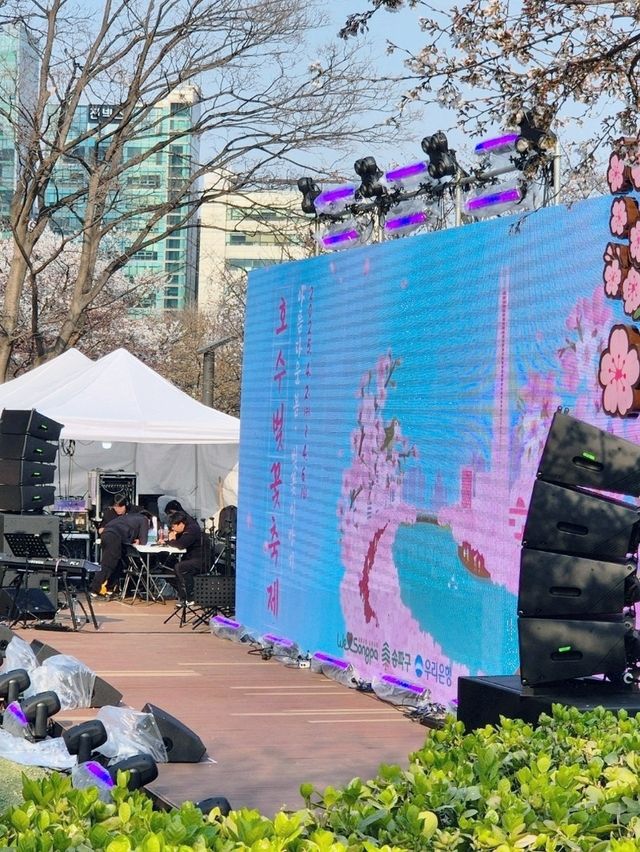 잠실 석촌호수 벚꽃축제🥰