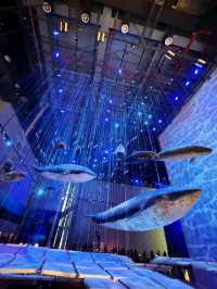 The Guangdong Museum, a perfect destination to explore Cantonese art, culture and history. 