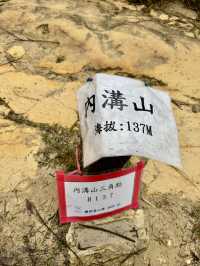 內溝山探訪阿凡達的生命之樹