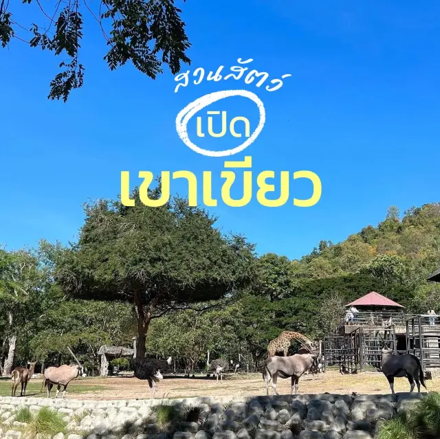 สวนสัตว์ที่คนชอบไปดูหมูเด้ง 🐷