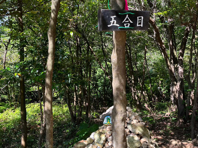 【三重の多度山ハイキング】