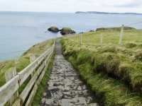 Step Into Spring at Carrick-a-Rede, Belfast