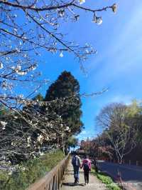 เตรียมตัวไป Alishan สายธรรมชาติห้ามพลาด ep.1