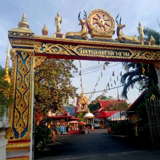 ท่องเที่ยวเชิงวัฒนธรรม ชมวัดทองศาลางาม✨️