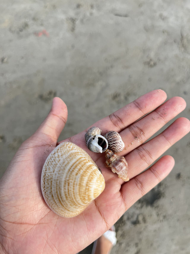 นั่งเล่นกินข้าวริมทะเลหาดบางแสนกับครอบครัว นั่งเล่นกินข้าวริมทะเลหาดบางแสนกับครอบครัว
