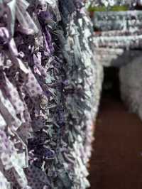 【金沢×石浦神社】水玉模様のおみくじのトンネルなどの映えスポットいっぱいの神社