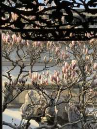 A Spring Stroll Through Master-of-Nets Garden