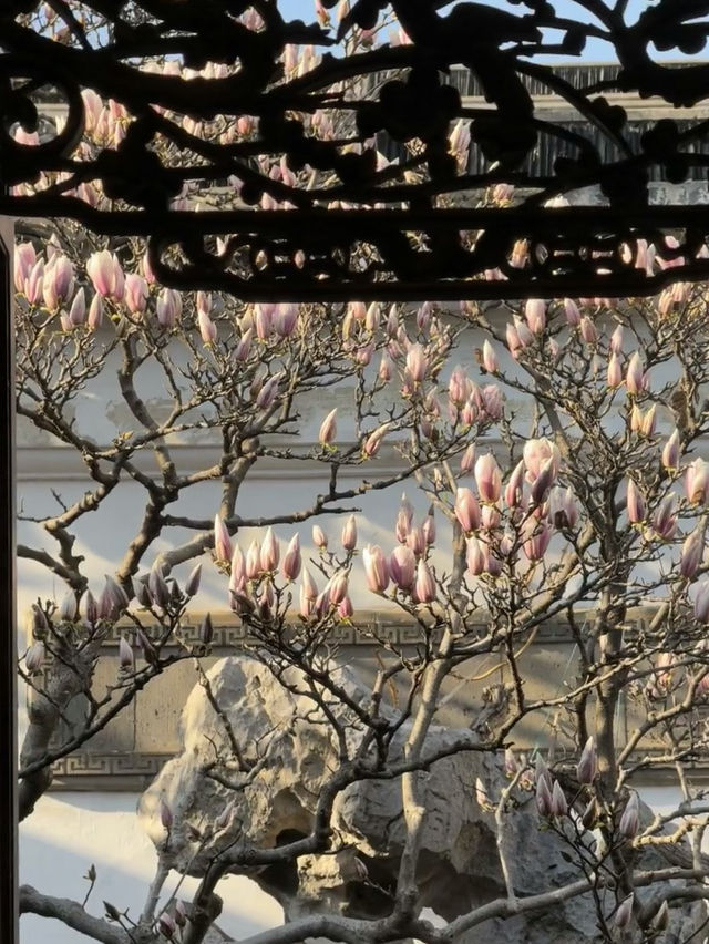 A Spring Stroll Through Master-of-Nets Garden