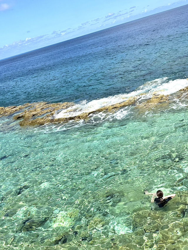 🇯🇵南大東島　陸の孤島でワイルド海水浴🌊