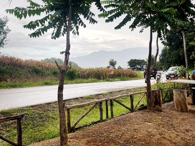 เที่ยวถนนร้องกวาง (แพร่) 🛣️🌳