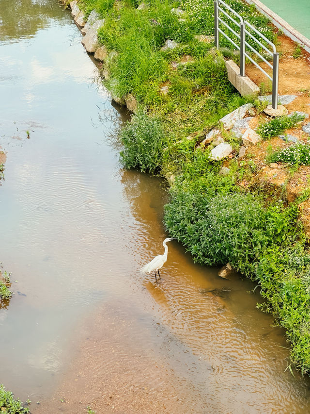 잠깐 머물다 가기 좋은 초록 쉼터🌿☁️
