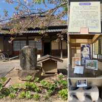 【おんせん県おおいた】宇佐市【双葉の里】大横綱　双葉山の資料館　入館料無料で楽しめます！