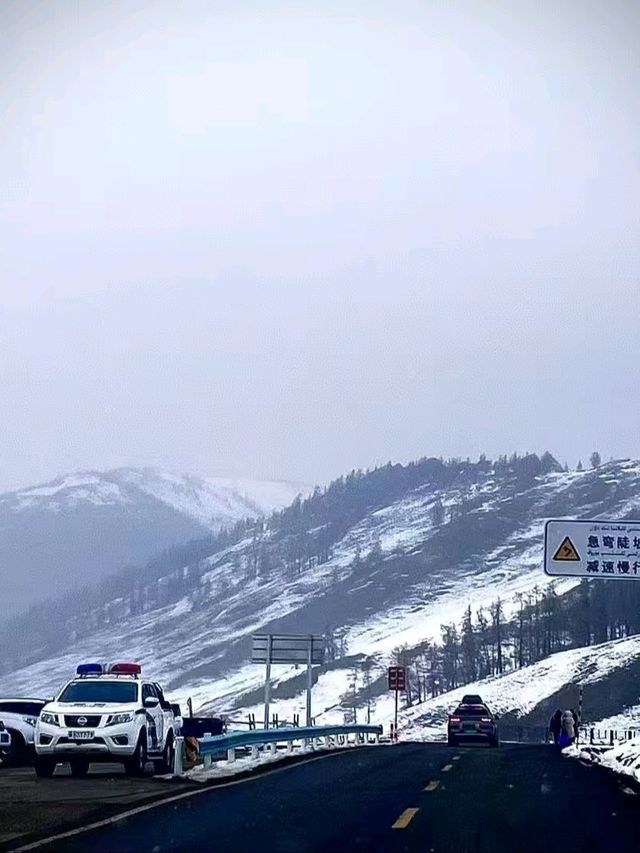 Snow-Kissed Hemu: A Hidden Gem in Xinjiang