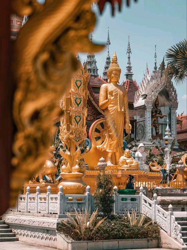 Beyond Borders: Discover the Magic of Xishuangbanna