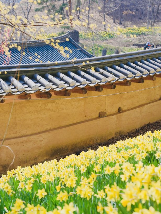 House of Yu Gi-Bang: A Big Fish-esque Journey into Traditional Korea 🌸🏡