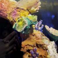 Aquaria KLCC