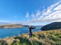 Exploring History and Coastline: Godley Head Park Adventure⛰️