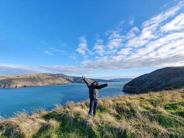 Exploring History and Coastline: Godley Head Park Adventure⛰️