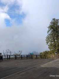 จุดชมวิว Zhushan Station Mt.Okasawara Alishan