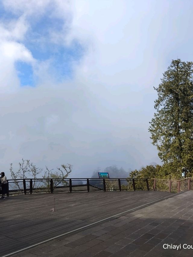 จุดชมวิว Zhushan Station Mt.Okasawara Alishan