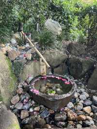 Mount Coottha Botanic garden 
