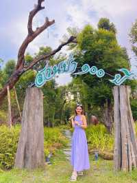 สวนป่า ๑๐๐ ปี จังหวัดนครนายก