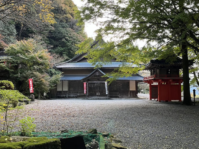 【大洞山〜尼ヶ岳】⛰️ 関西百名山