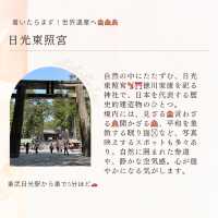 滞在26時間⏰ 全部楽しむ日光1泊2日 観光モデルコース