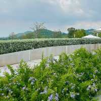 #คาเฟ่เขาไม้แก้ว #วิวภูเขา #มีม้าหมุนฟรี 🎠🌷