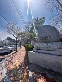 Spring Magic at Korea’s Most Beautiful Seaside Temple 