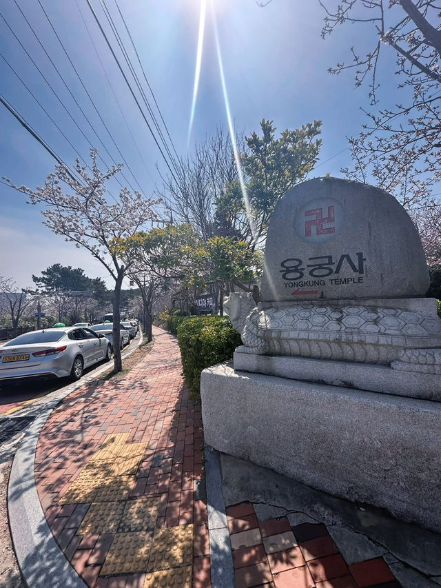 Spring Magic at Korea’s Most Beautiful Seaside Temple 