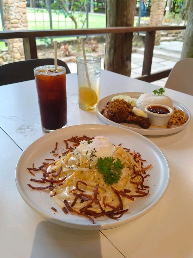 Creamy Comfort in the Forest – Spaghetti Carbonara at Pineyard