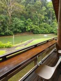 A Perfect Forest Lunch at Pineyard, Genting Highlands