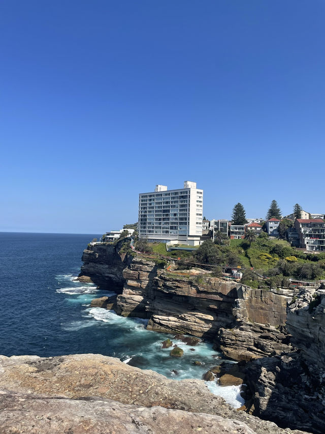 澳洲悉尼Bondi🇦🇺隱藏版景點Diamond Bay🌊