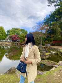 Top Tips for a Perfect Nara Park Adventure