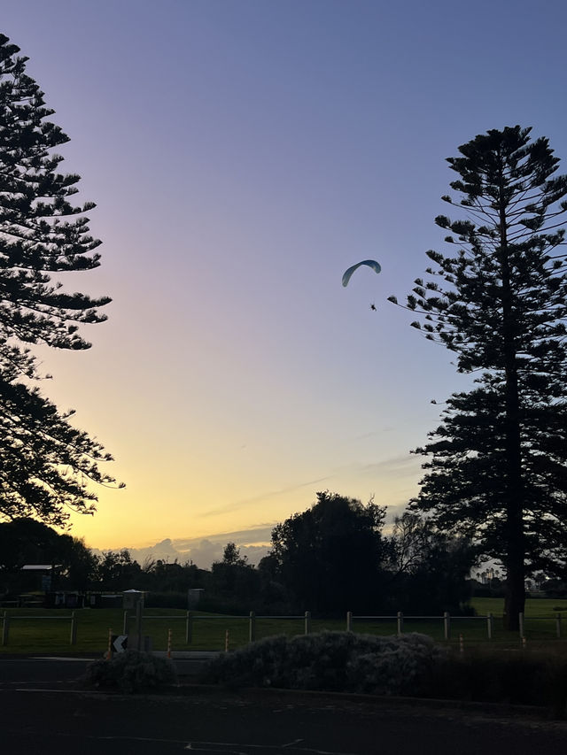 【メルボルンひとり旅 Day2🇦🇺】