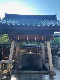 合格祈願の神社として有名⛩️湯島天満宮