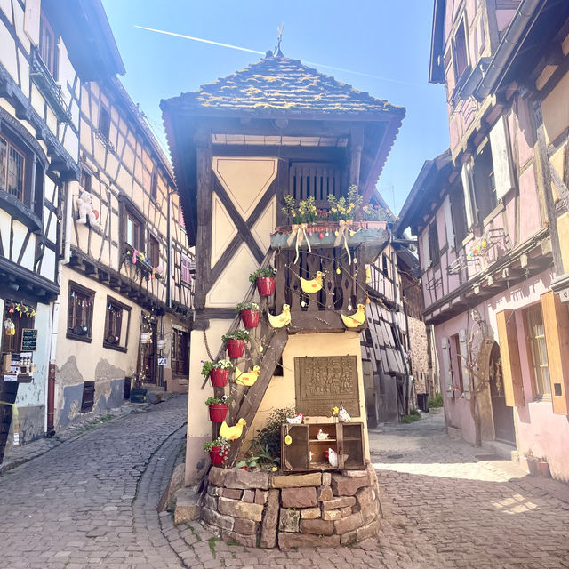 【アルザス地方🇫🇷】一日のスケジュール🗓